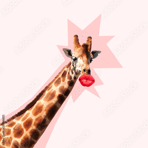Giraffe's head with shadow against it kissing by the big red female mouth. Ne...