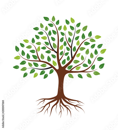 Tree with green leaves and roots. Isolated on white background. Flat style, vector illustration. 