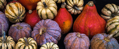 Collection of pumpkins at a farmers market photo