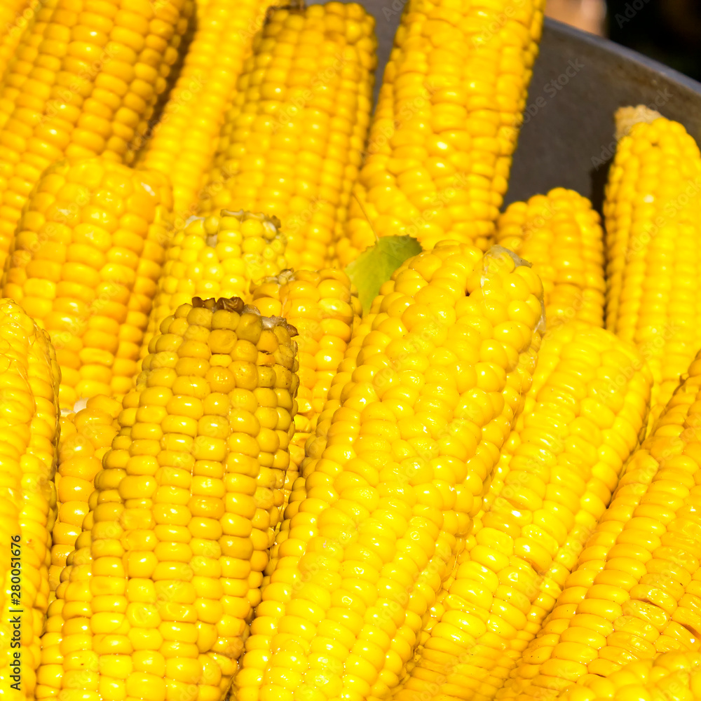 Yellow boiled corn close-up. Texture of corn seeds. Yellow boiled corn close-up. Texture of corn seeds.