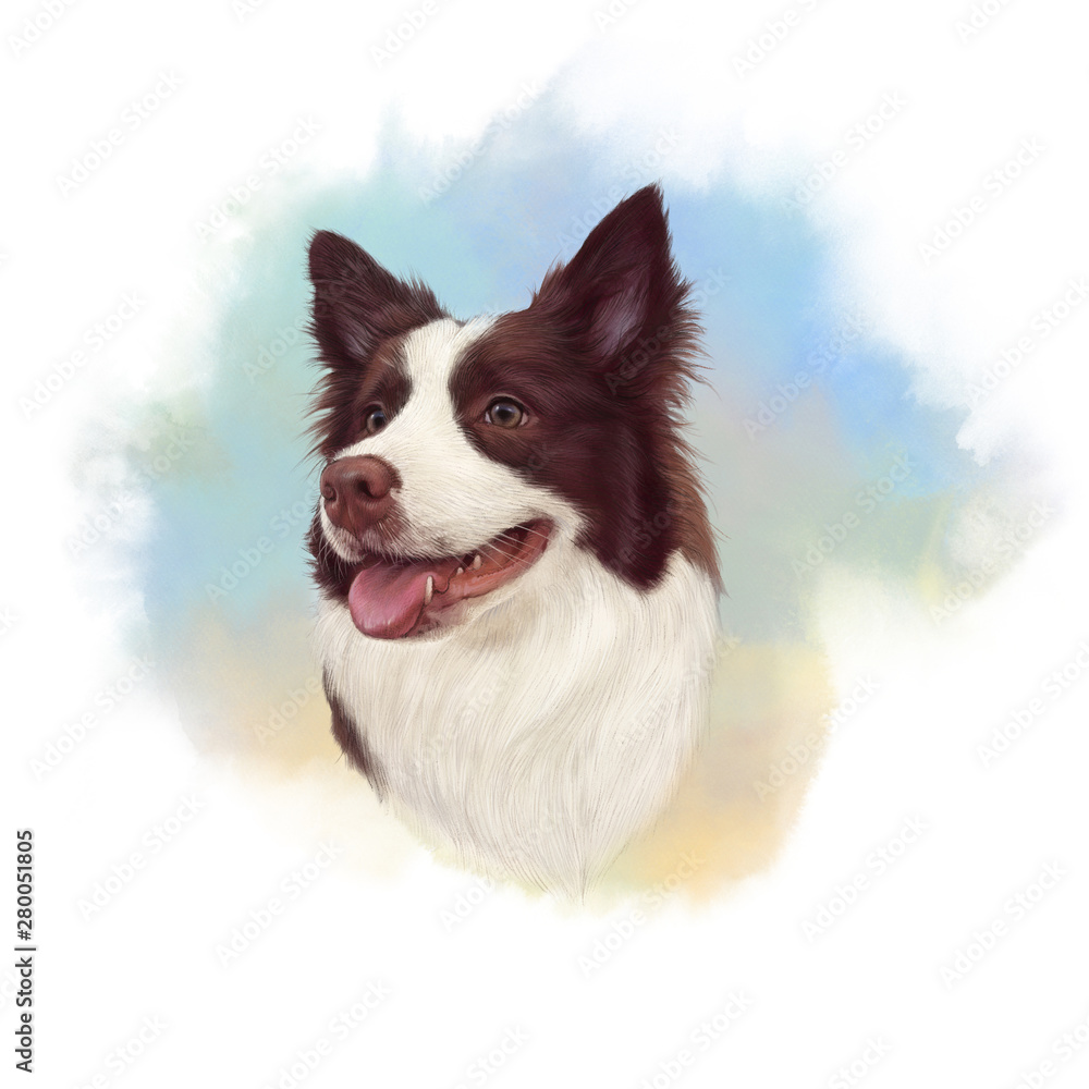 Realistic Portrait of Chocolate Border Collie Dog. Head of a cute puppy on watercolor background. Animal art collection: Dogs. Hand Painted Illustration of Pet. Design template. Good for print t shirt