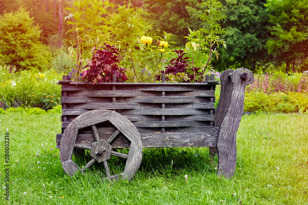 Decorative cart made of wood for flowers in the summer garden on a sunny day. Gardening concept
