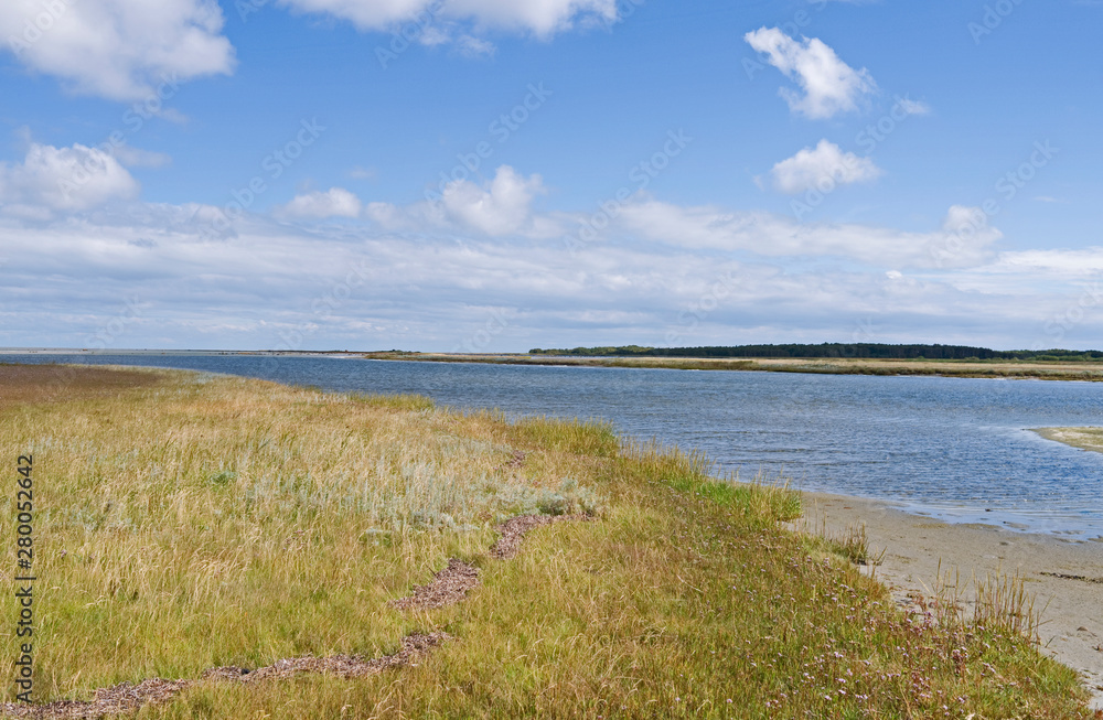 Laesoe / Denmark: View from a salt marsh island in the south of the Kattegat island over a shallow tidal creek to the island of Hornfiskroen with it’s dark green forest  in the back