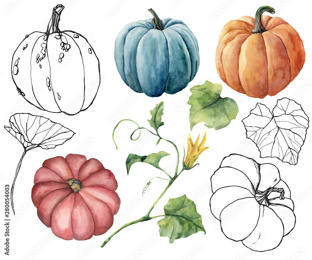 Watercolor set with linear pumpkins and leaves. Hand painted red, blue ...