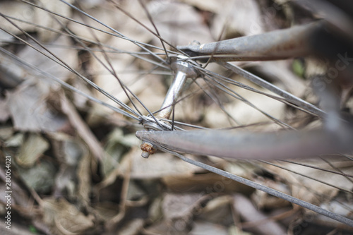 Rueda de bicicleta sobre hojas secas