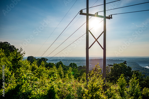 power lines in the forest