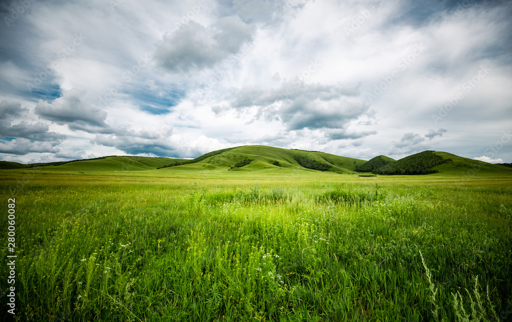 Fototapeta premium china Mulan paddock 