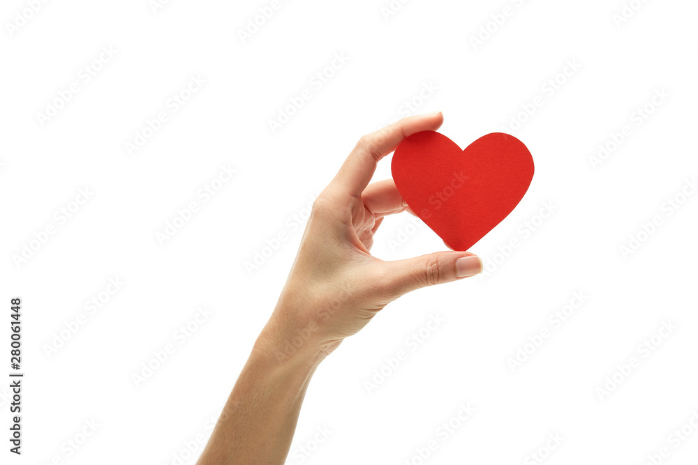 Red heart in woman hand on white