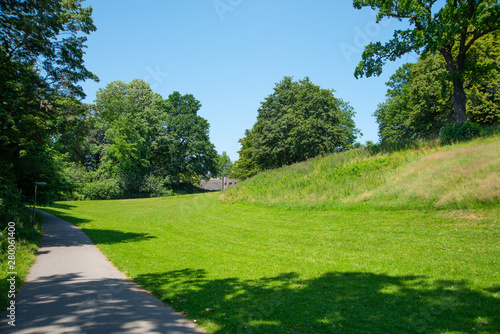 Park landscape. Summer green meadow