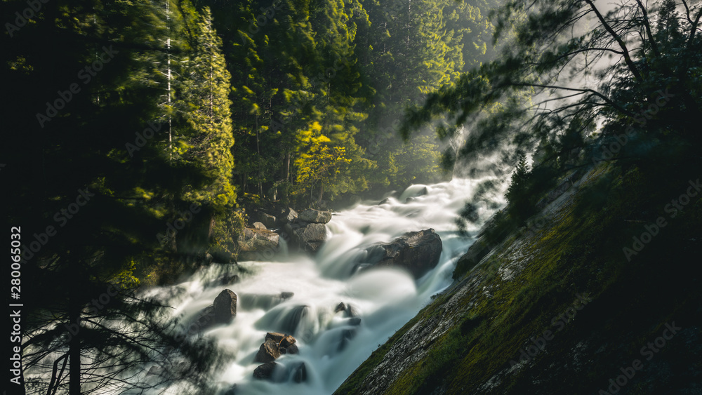 River in the Forest