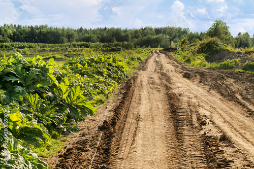 Rural dirt road against far...