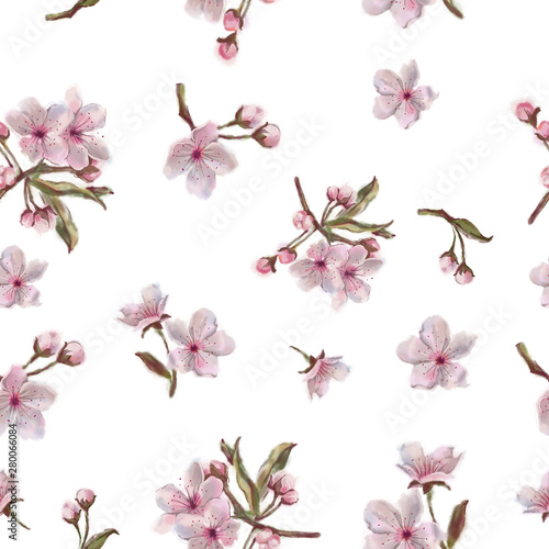 Watercolor Hand Painted Sakura Flowers Pattern on White Background