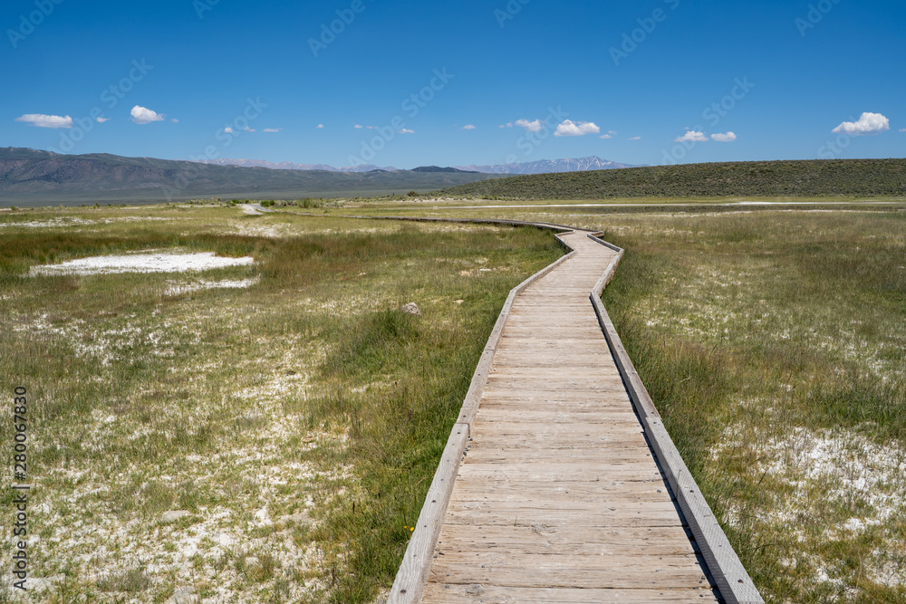 Elevated boardwalk leading to Wild Willys Hot Springs in Mammoth Lakes California