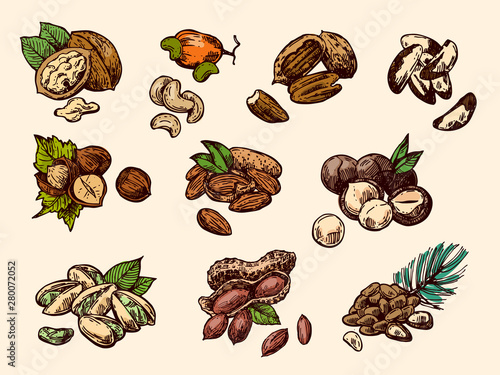 Nuts set sketch style food illustrations. Hand drawn beautiful pictures