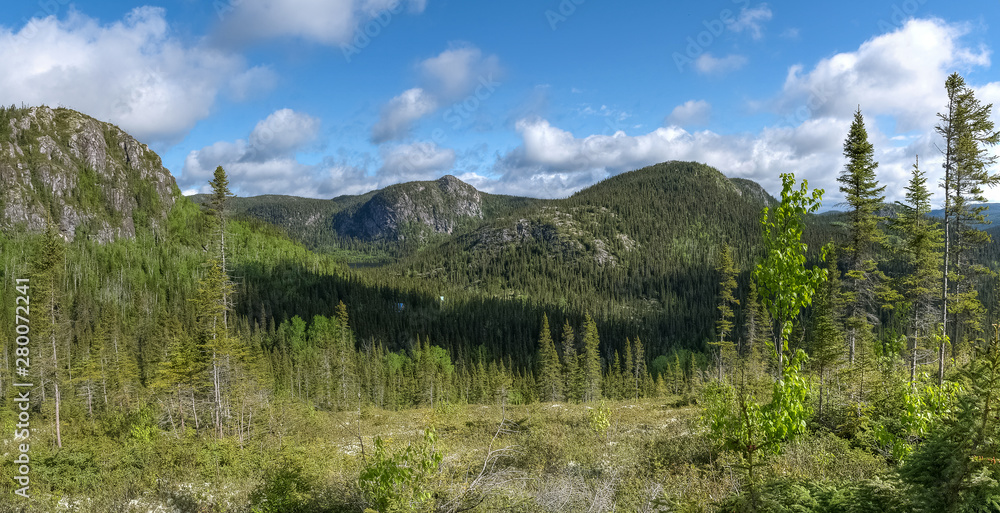 Boreal forest in the Charlevoix mountains, Quebec, Canada