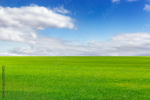 Beautiful green field and bright blue sky with light clouds