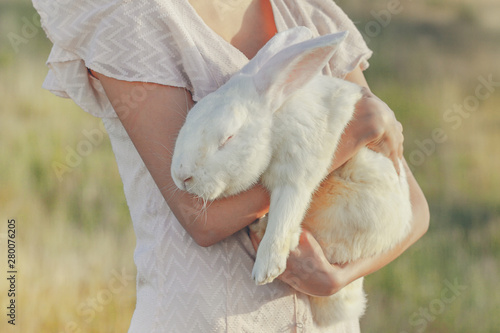 Tableau sur toile White rebbit in woman hands, cruelty free,  not tested on animals concept