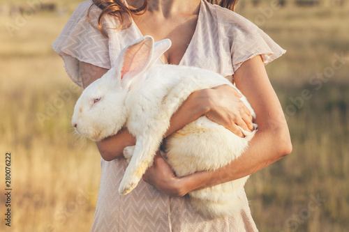 White rebbit in woman hands, cruelty free,  not tested on animals concept