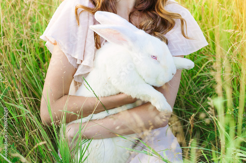 White rebbit in woman hands, cruelty free,  not tested on animals concept