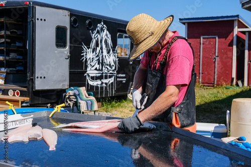 Man in the hat cutting big fish on the chopping board. Fisherman chopping the red fish called salmon in Alaska, USA