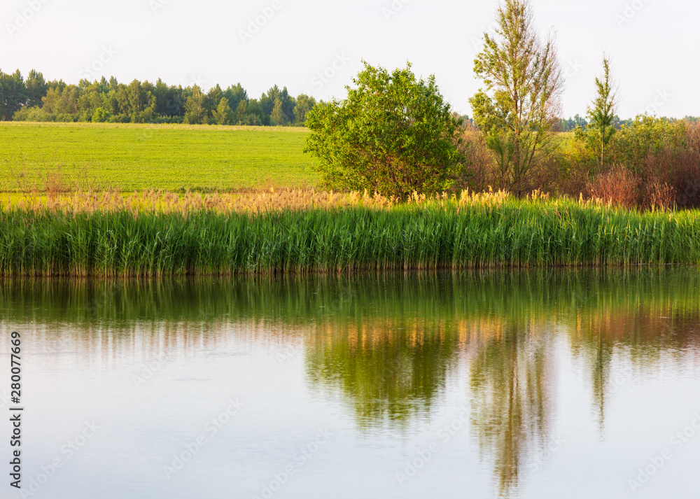 Lakeside with green trees and grass. Golden hour before sunset Lakeside with green trees and grass. Golden hour before sunset
