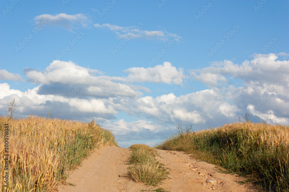 Summer landscape with a field road going up to the sky and a bright blue sky with white clouds. Neighborhood Grodno. Belarus.