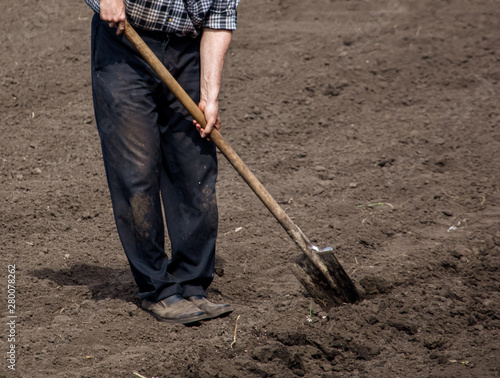 A man digs the ground with a shovel in the garden © schankz