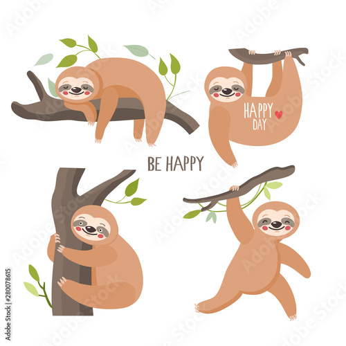 Set of Sloths in different positions  vector illustration