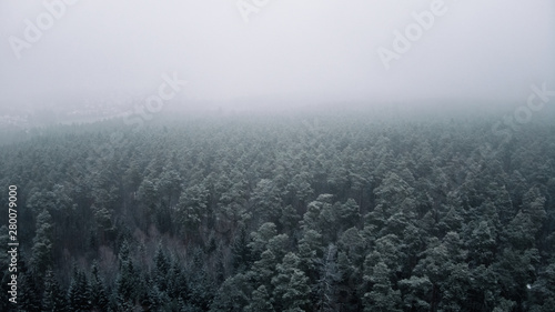 Winter Nebel Schnee Wald Luftaufnahme