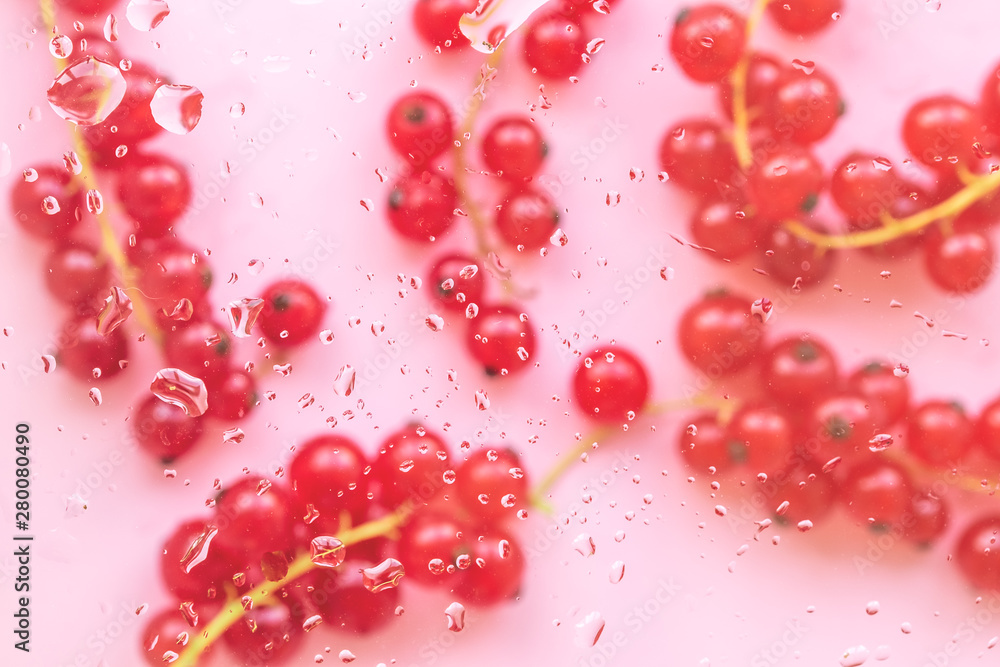 Sprigs of red currants with dew drops on a pink background. Healthy eating concept. Sprigs of red currants with dew drops on a pink background. Healthy eating concept.