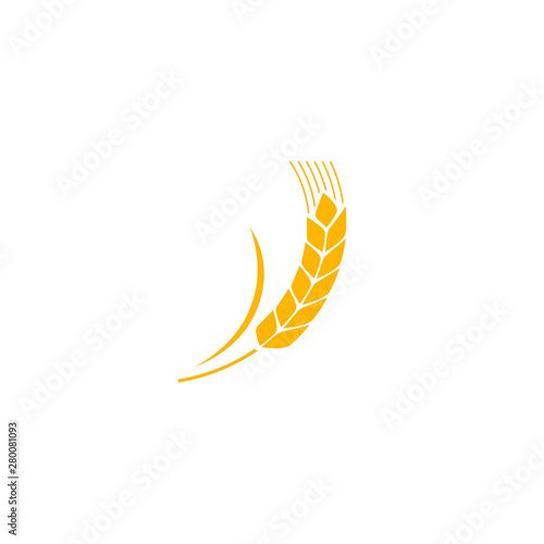 Wheat spike yellow isolated on white background. Grain plant silhouette. Spica icon. Ear organic. illustration flat design