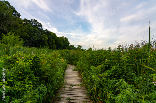 Wooden path at sunrise