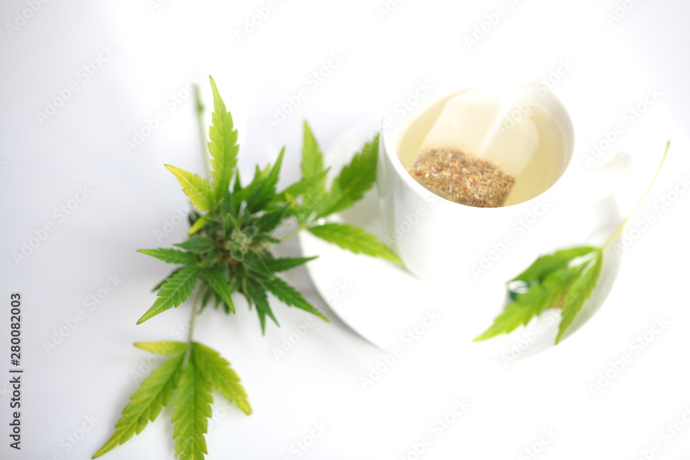 Fototapeta premium hemp tea . medical cannabis leaf