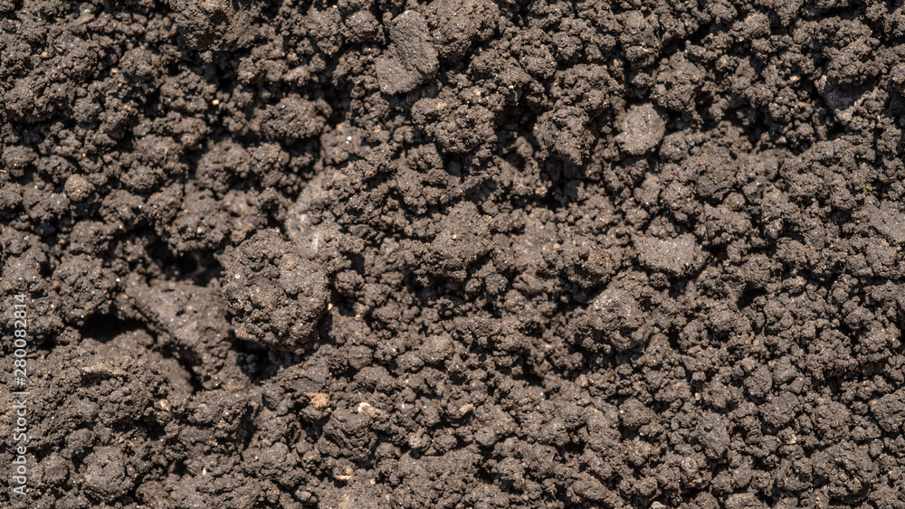 Dark brown crushed lowland peat, fertilizer and soil component - background for agriculture