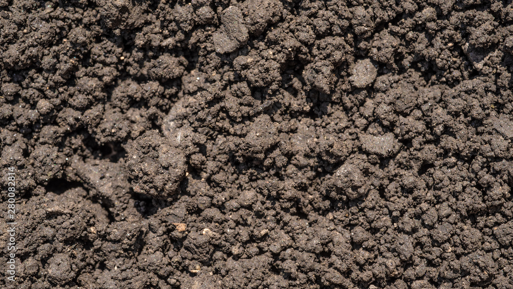 Dark brown crushed lowland peat, fertilizer and soil component - background for agriculture Dark brown crushed lowland peat, fertilizer and soil component - background for agriculture