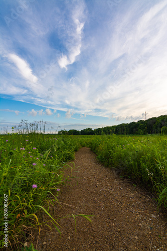 Dirt path at sunrise