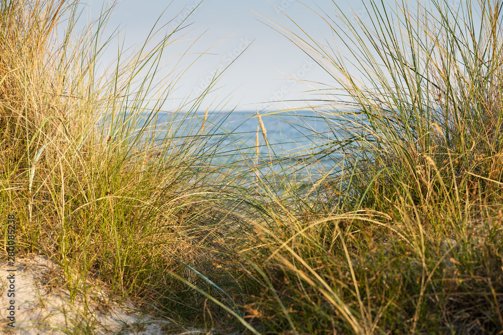 Wasser, Steine mit Strandgras