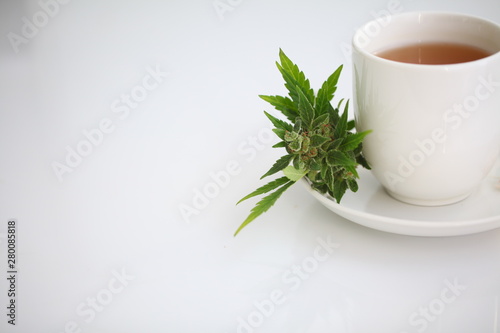 hemp tea . medical cannabis leaf