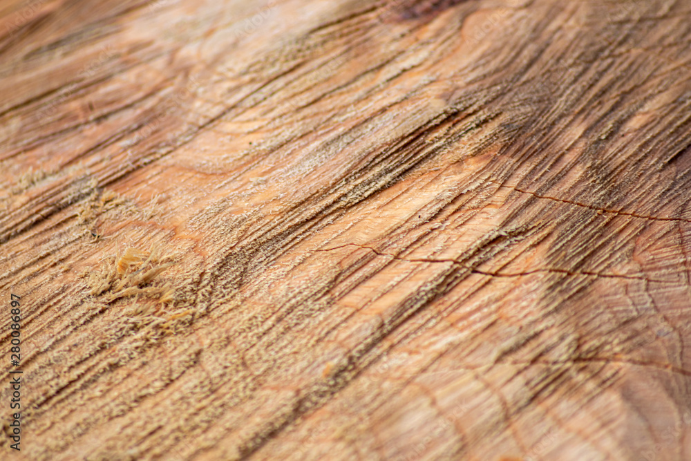 Obraz premium Schöne Holzstruktur eines gefällten Baumes mit Holzmaserung und feinen Details, viel schöner Patina und Vintage-Style als Dekoration oder Inneneinrichtung