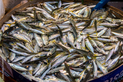 Fresh fishes sold in fish market