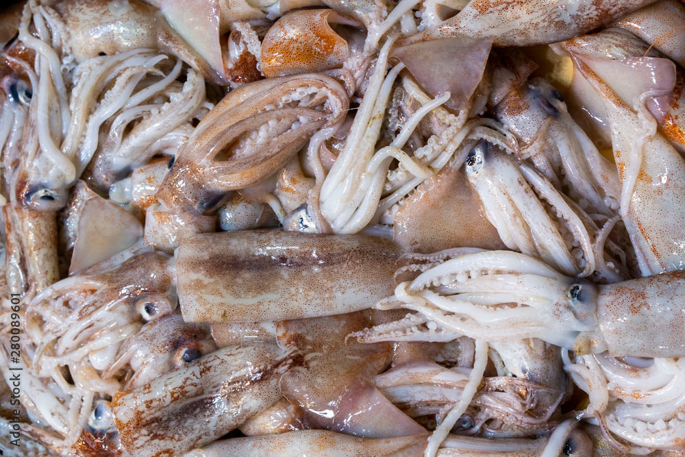 Fresh fishes sold in fish market Fresh fishes sold in fish market