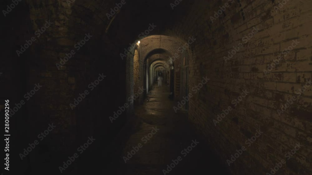A ghost of a woman wanders through the gloomy corridors of old dungeons. A ghost of a woman wanders through the gloomy corridors of old dungeons.