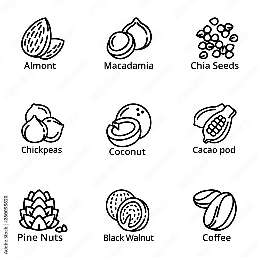 Nuts icon set. Outline set of 9 nuts vector icons for web design isolated on white background Nuts icon set. Outline set of 9 nuts vector icons for web design isolated on white background