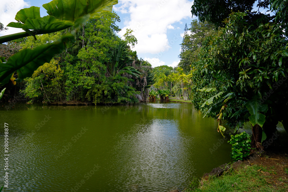 The Sir Seewoosagur Ramgoolam Botanical Garden. This is a popular tourist attraction and the oldest botanical garden in the Southern Hemisphere.