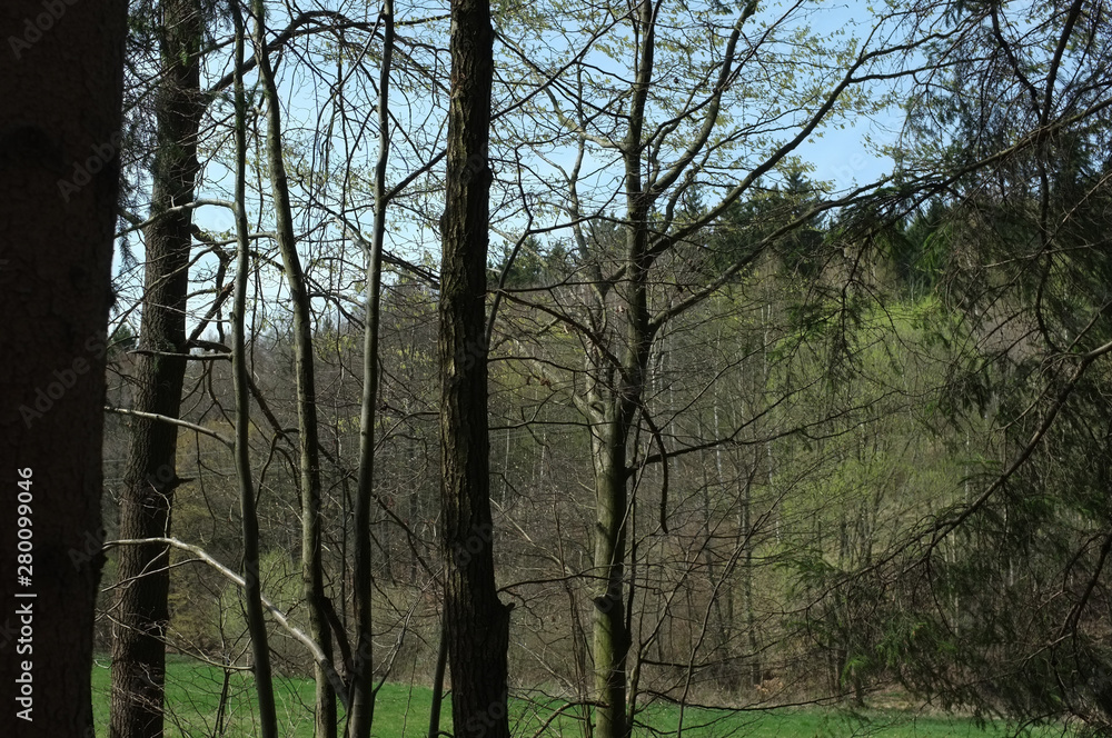 Spring has already arrived, riding in shorts