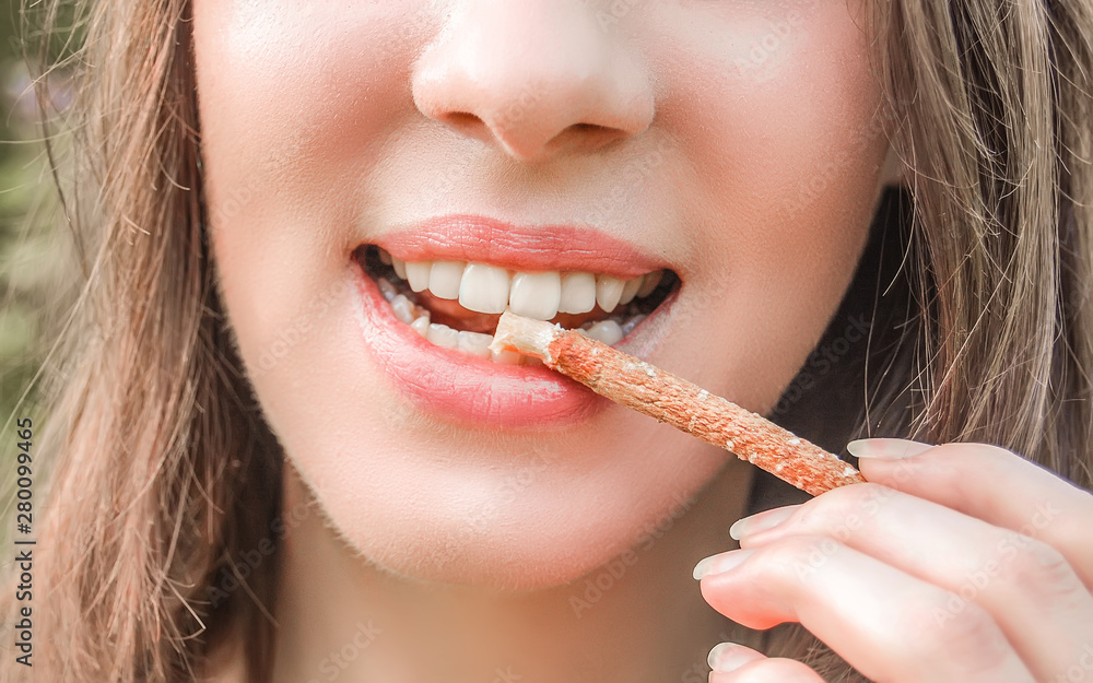 Beautiful girl cleans her healthy white teeth with eco miswak stick. Smiling woman uses organic toothbrush at nature. Traditional islamic\arabian teeth care with siwak. Beautiful girl cleans her healthy white teeth with eco miswak stick. Smiling woman uses organic toothbrush at nature. Traditional islamic\arabian teeth care with siwak.