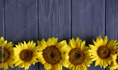 Fototapeta Naklejka Na Ścianę i Meble -  Greeting card design with sunflowers on gray wooden background. Frame for text with flowers of sunflower. Photo sunflowers with the place for copywriting. View from above