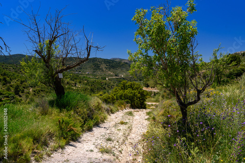 gruntowa droga w górach koło Alicante w Hiszpanii photo