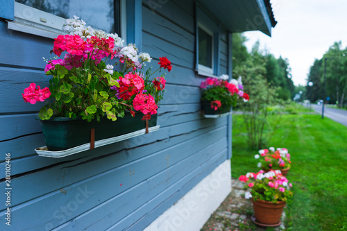Fototapeta Naklejka Na Ścianę i Meble -  Small rustic wooden house blue board potted flowers garden outdoor recreation. 