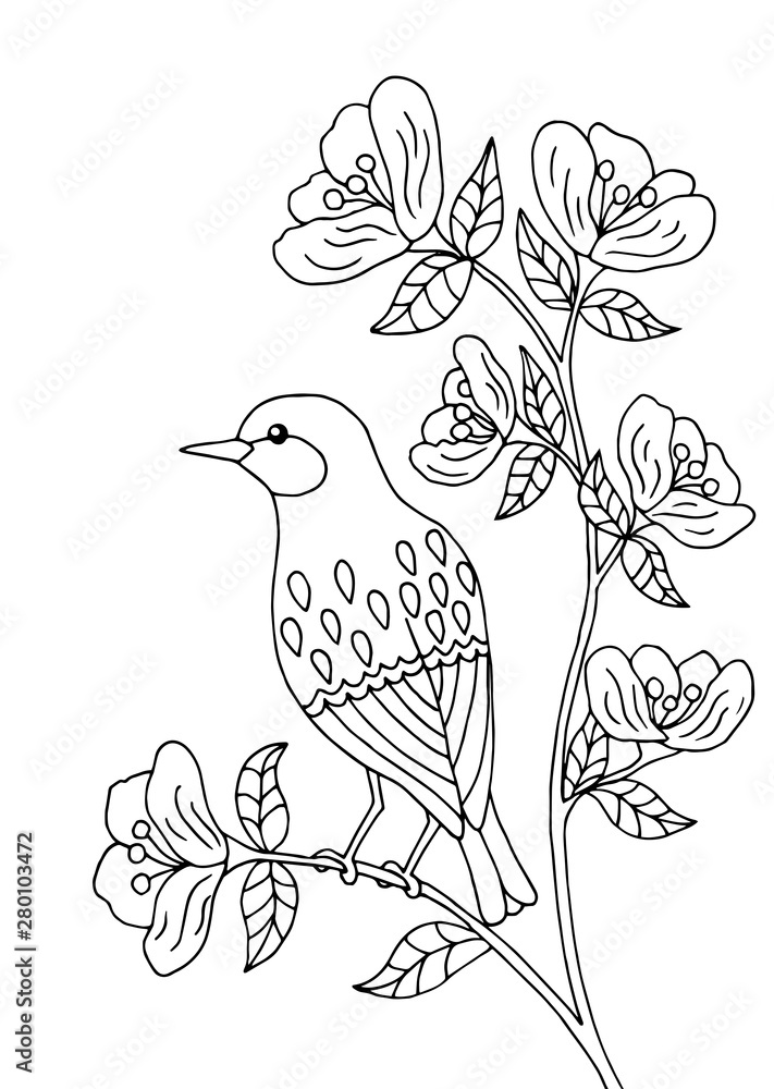 custom made wallpaper toronto digitalBird sitting on a branch, coloring page